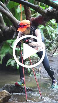 BIB:  <button type="button" onclick="openModal(27808747)" class="btn btn-primary btn-sm float-right" data-toggle="modal" data-target=".modal-high-quality">
                <i class="fa fa-download"></i> Download
                </button>